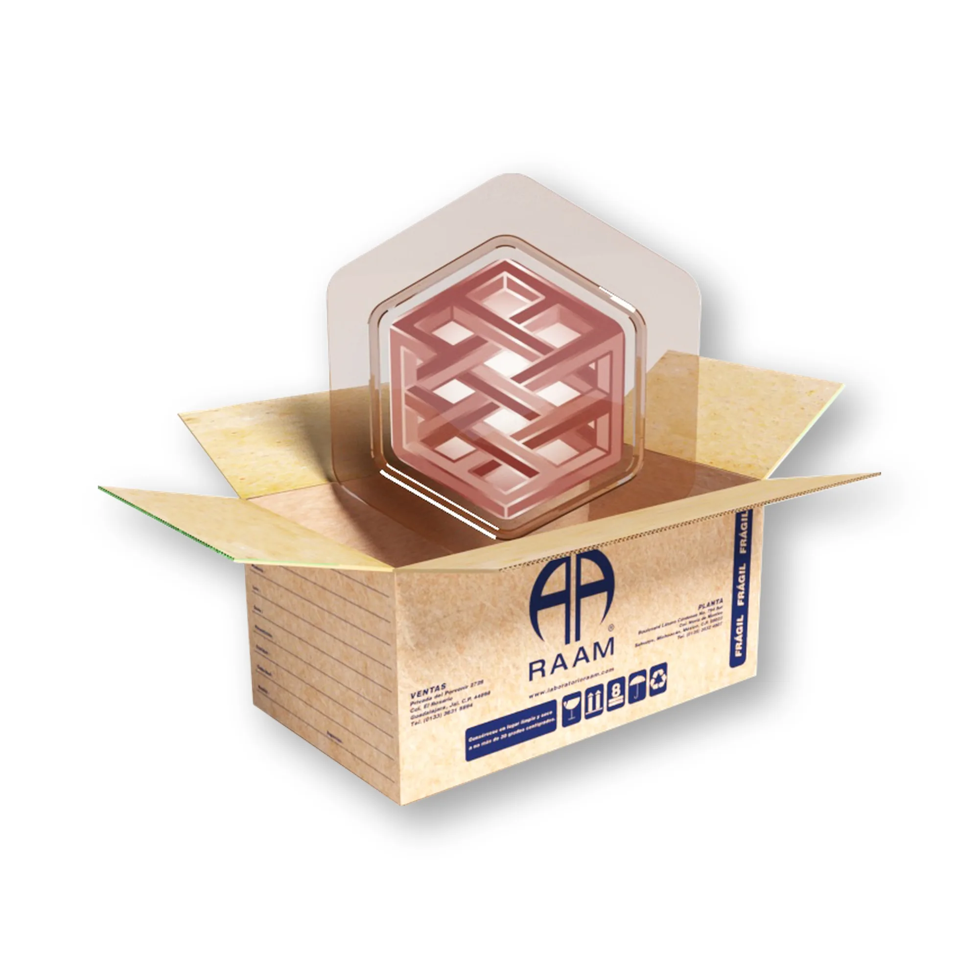 Posterior de la caja de Ciproterona 50 mg 20 Tabletas SAIFER
