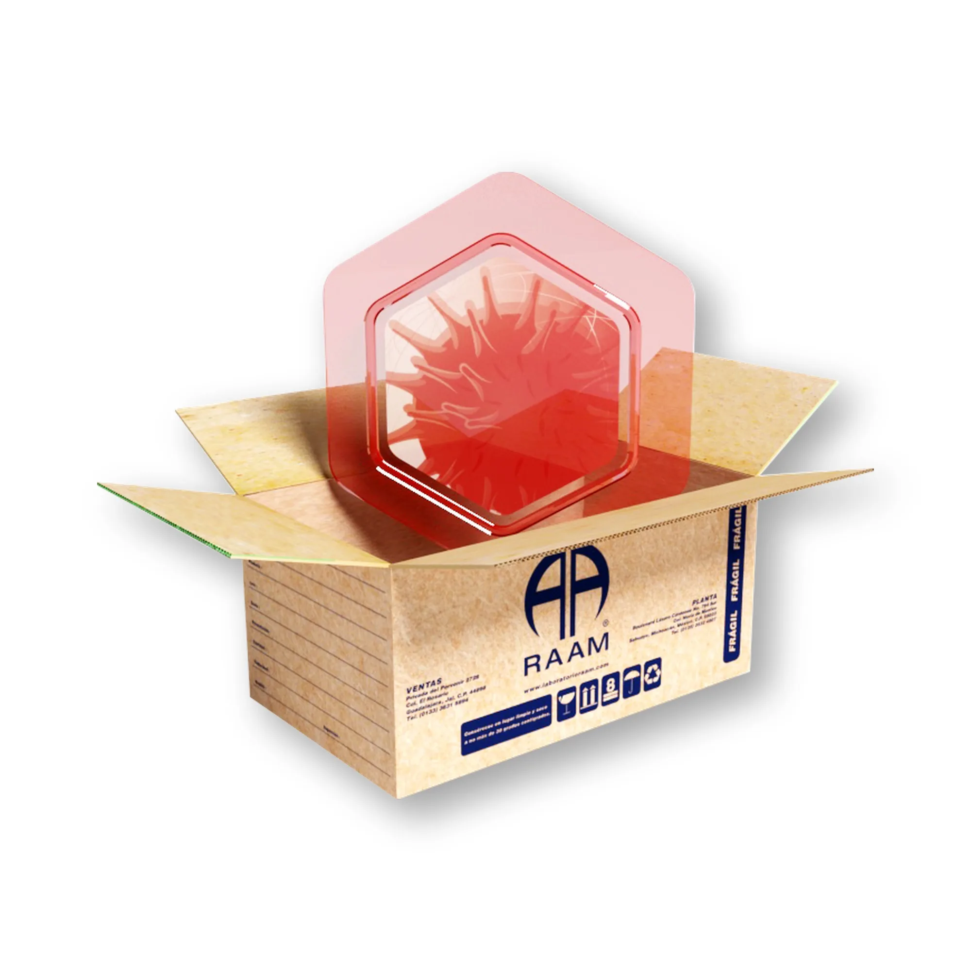 Efavirenz 600 mg 30 Comprimidos RAAMVIX | Detalle de empaque Detalle de empaque de Efavirenz 600 mg 30 Comprimidos RAAMVIX